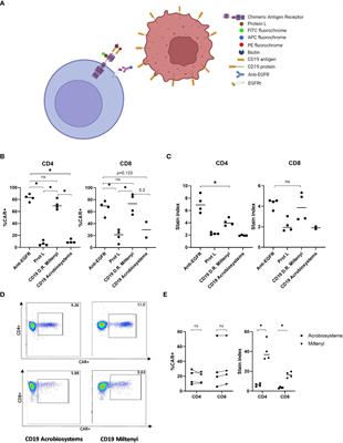 Monitoring of kinetics and exhaustion markers of circulating CAR-T cells as early predictive factors in patients with B-cell malignancies